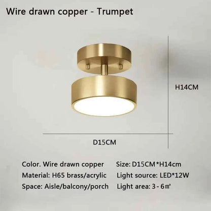Modern LED Ceiling Light Copper Lamp For Bedroom Living Room Light Nordic Round Gold Black Entryway Corridor Aisle Decor Fixture
